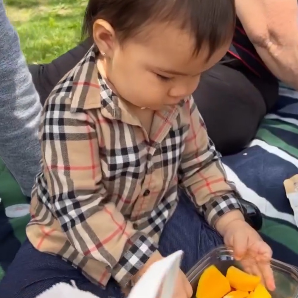 Burberry Beige and Black Plaid Flannel Shirt